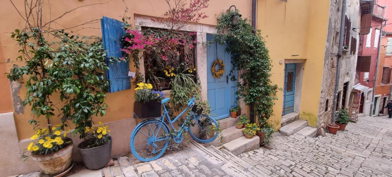 Casa 39 Apartments Rovinj Ngoại thất bức ảnh